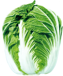 ????????3????????????